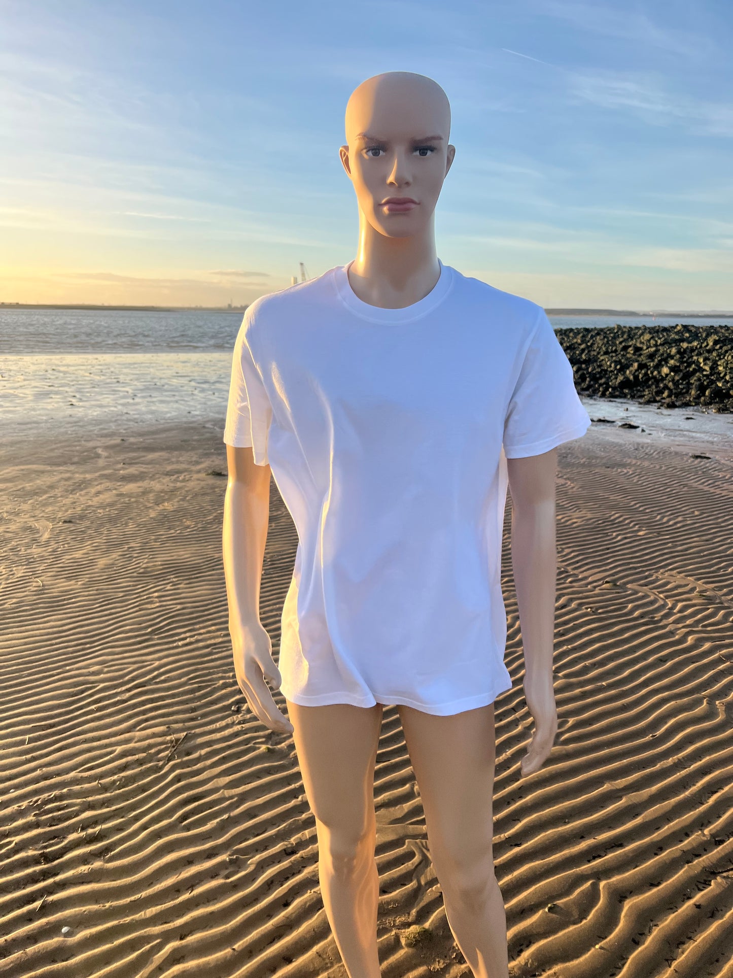 bland t-shirt - WHITE